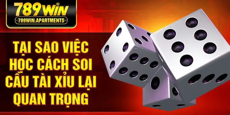 Tại sao việc học cách soi cầu tài xỉu lại quan trọng